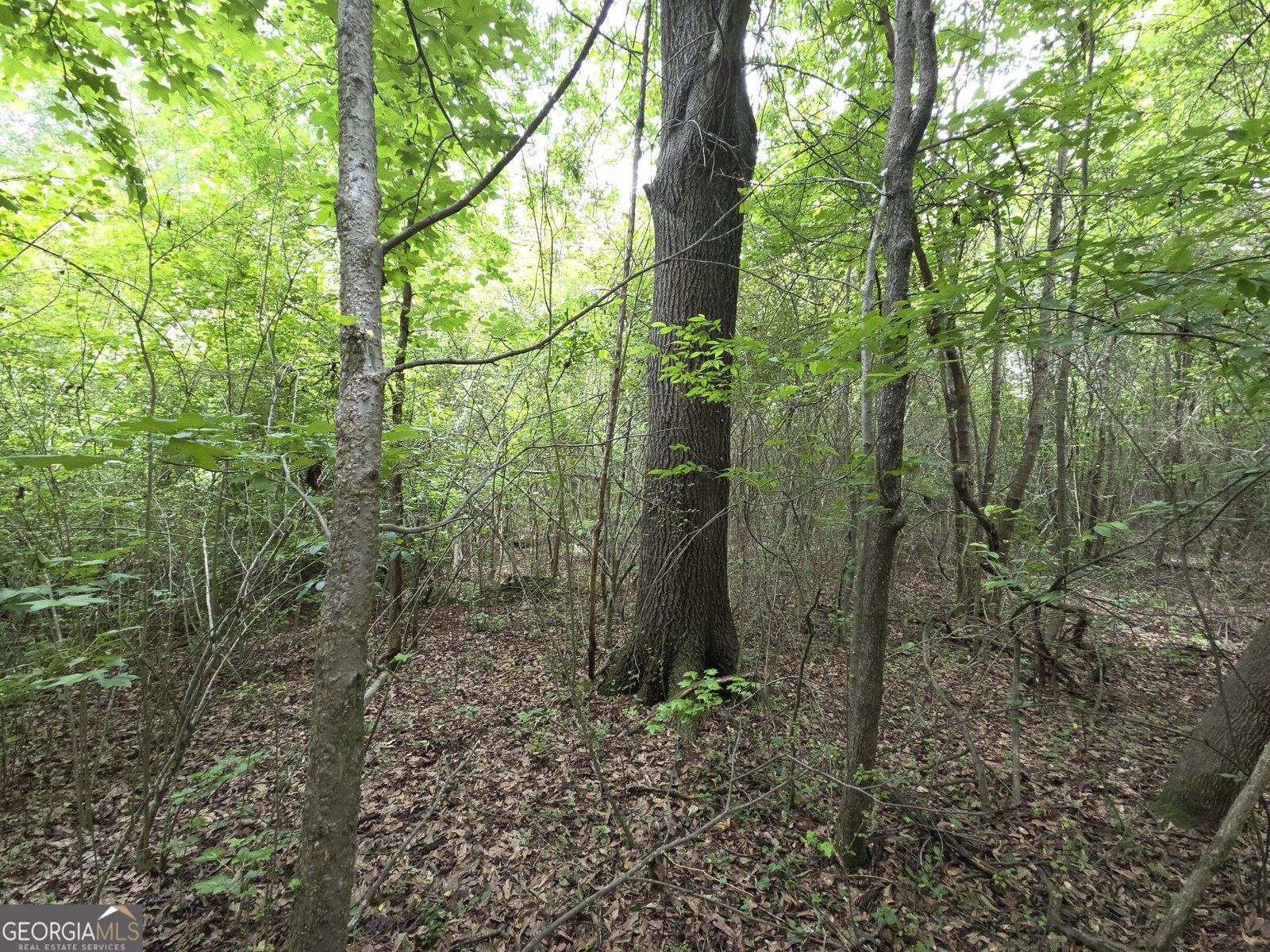395 Milner Road Zebulon - Photo 60