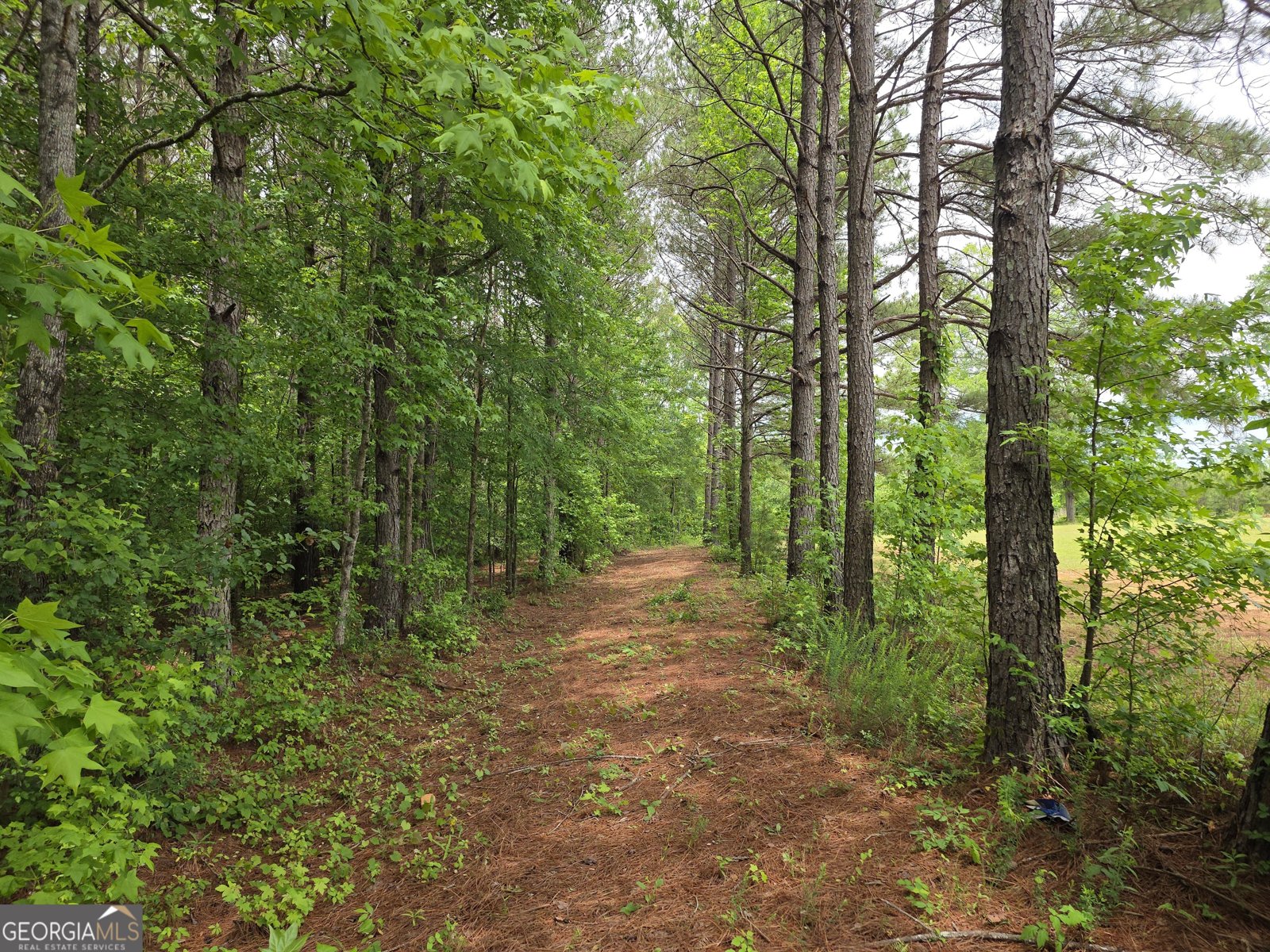 395 Milner Road Zebulon - Photo 61