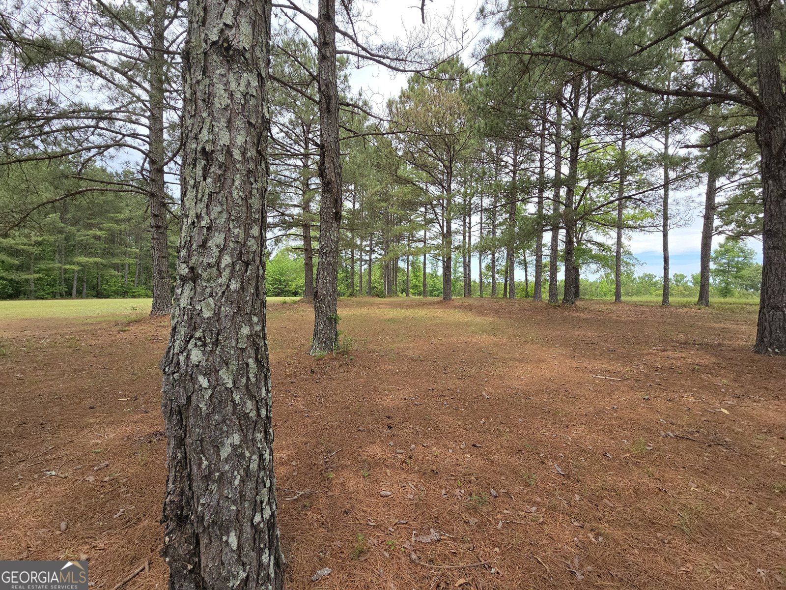 395 Milner Road Zebulon - Photo 62