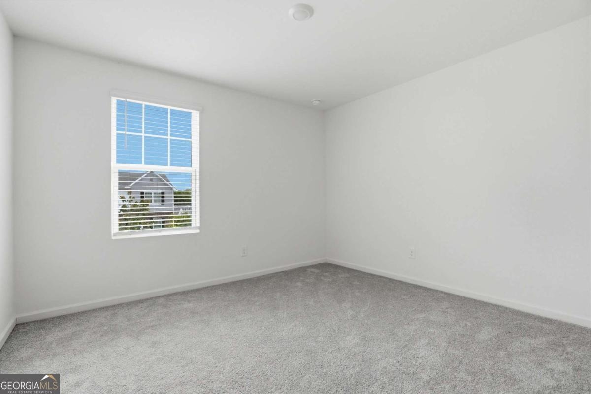 186 Pond Court Hoschton - Photo 18