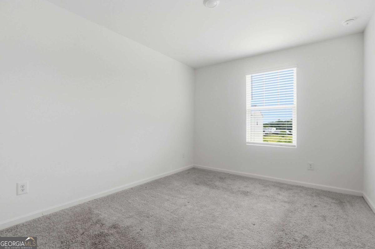 186 Pond Court Hoschton - Photo 19