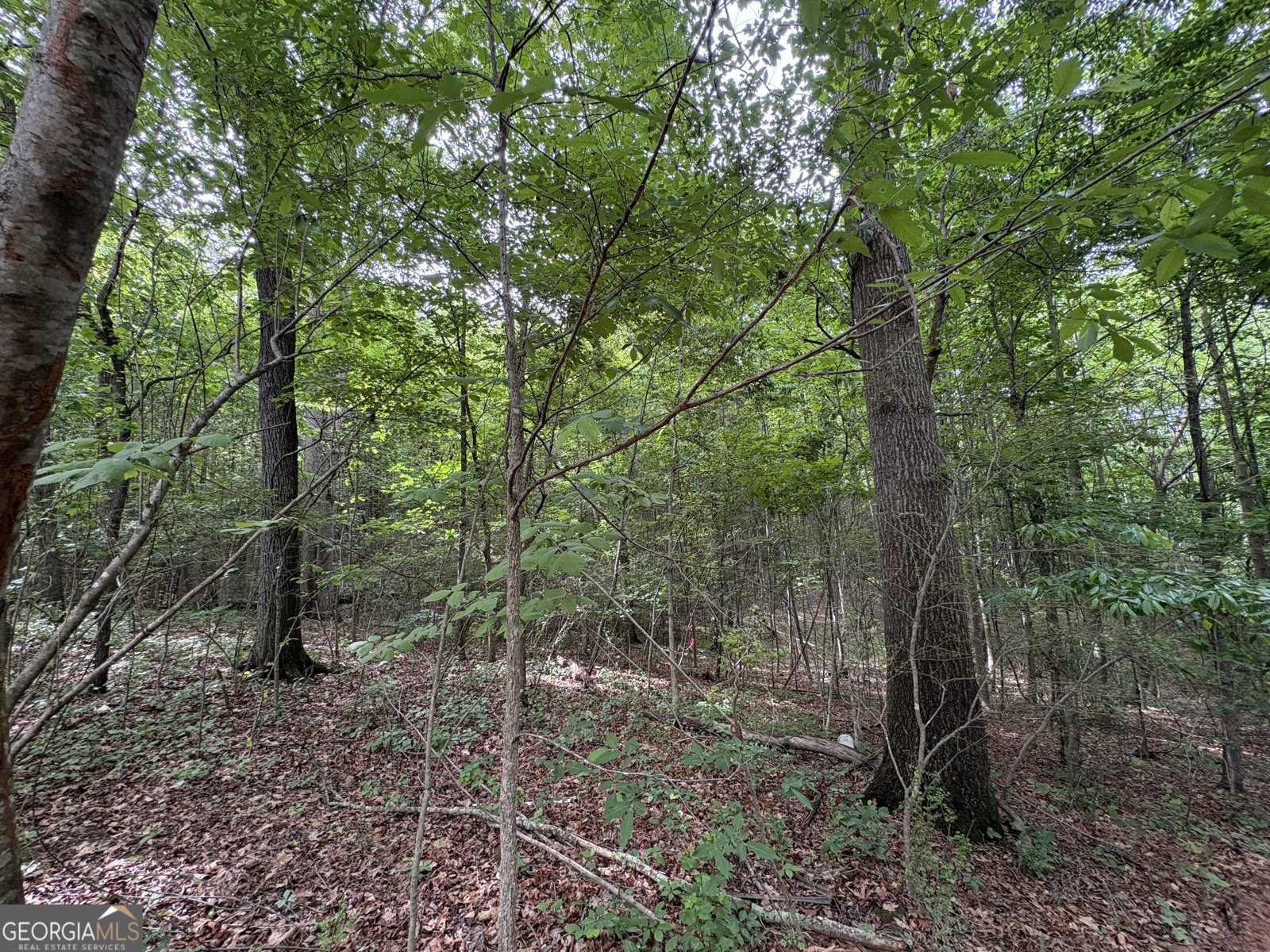 1020 Neal Road Commerce - Photo 12