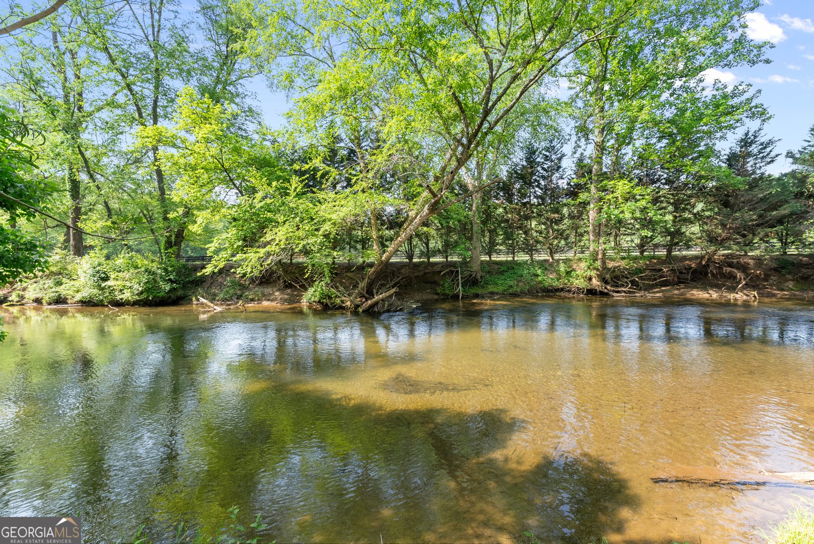 1304 Highway 17 Sautee Nacoochee - Photo 25