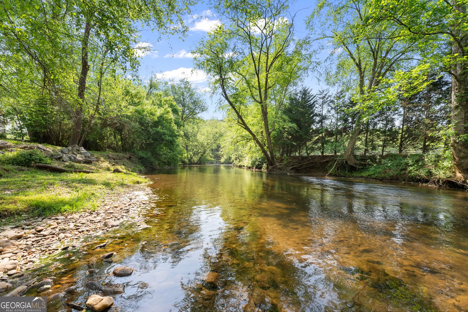 1304 Highway 17 Sautee Nacoochee - Photo 8
