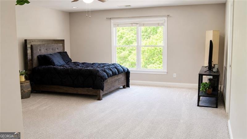 113 Carter Lane Canton - Photo 13