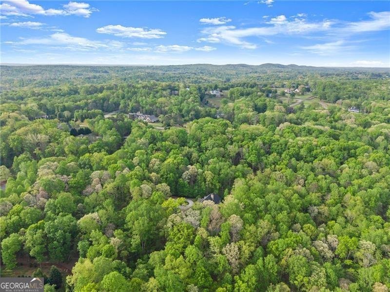 55 Summit Trail Lane Dawsonville - Photo 101