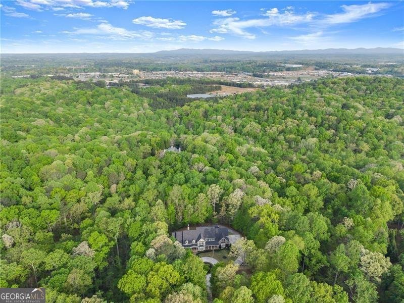 55 Summit Trail Lane Dawsonville - Photo 102