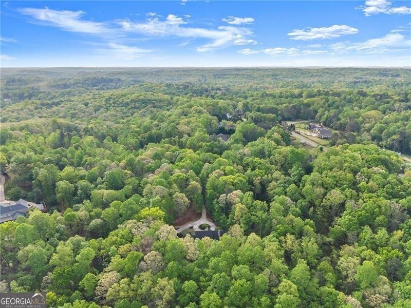 55 Summit Trail Lane Dawsonville - Photo 103