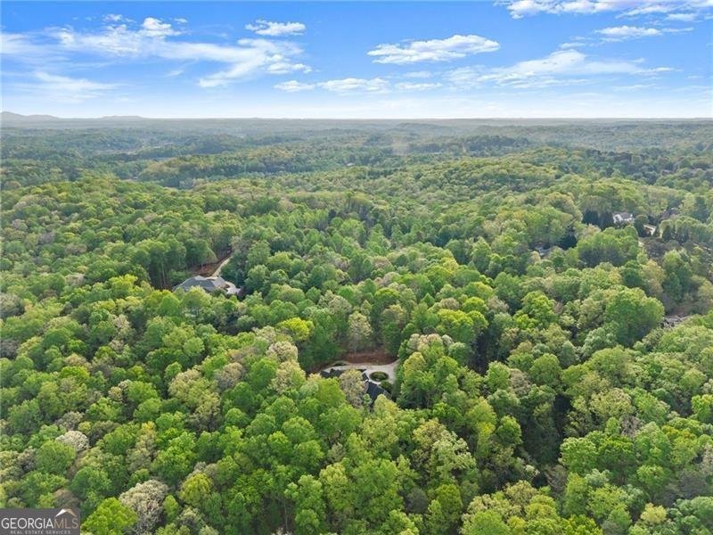 55 Summit Trail Lane Dawsonville - Photo 104