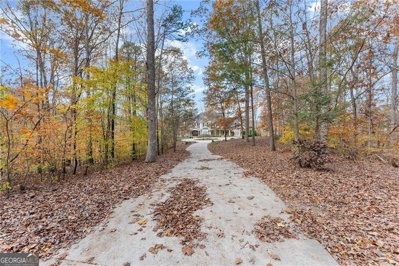 55 Summit Trail Lane Dawsonville - Photo 107