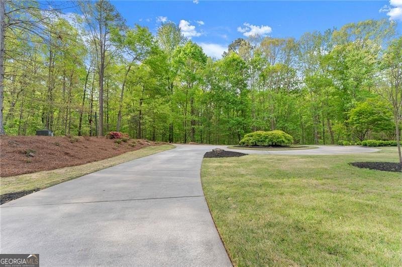 55 Summit Trail Lane Dawsonville - Photo 94