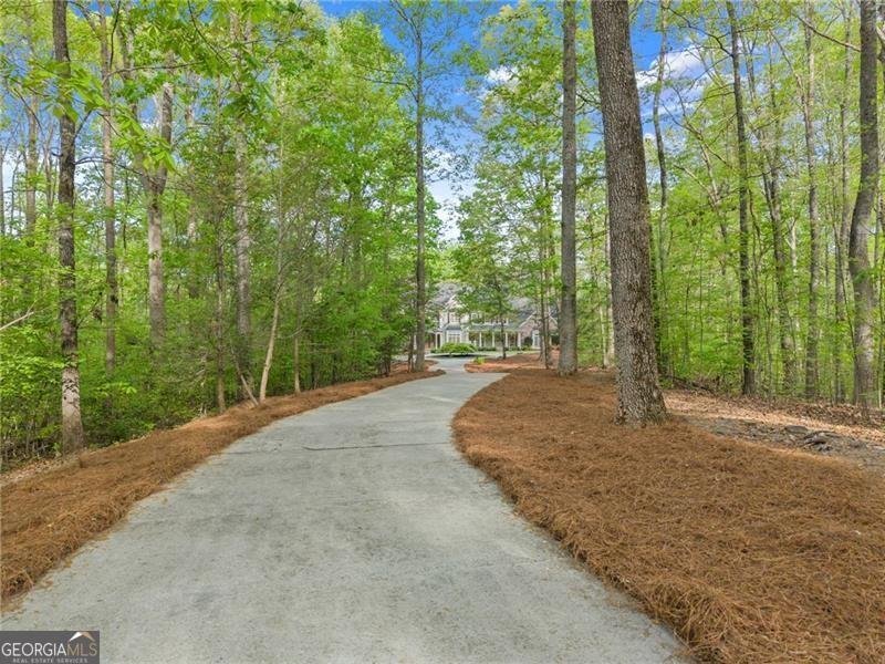 55 Summit Trail Lane Dawsonville - Photo 96