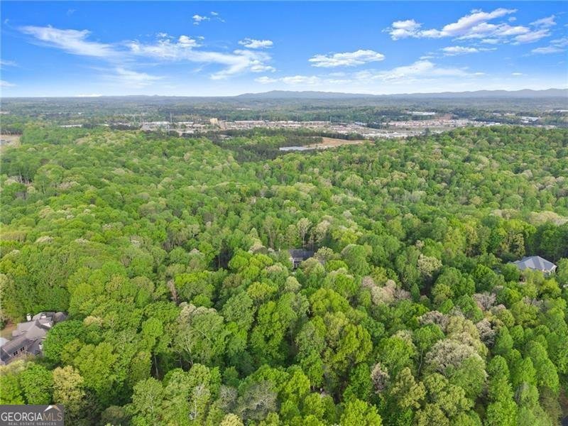 55 Summit Trail Lane Dawsonville - Photo 97