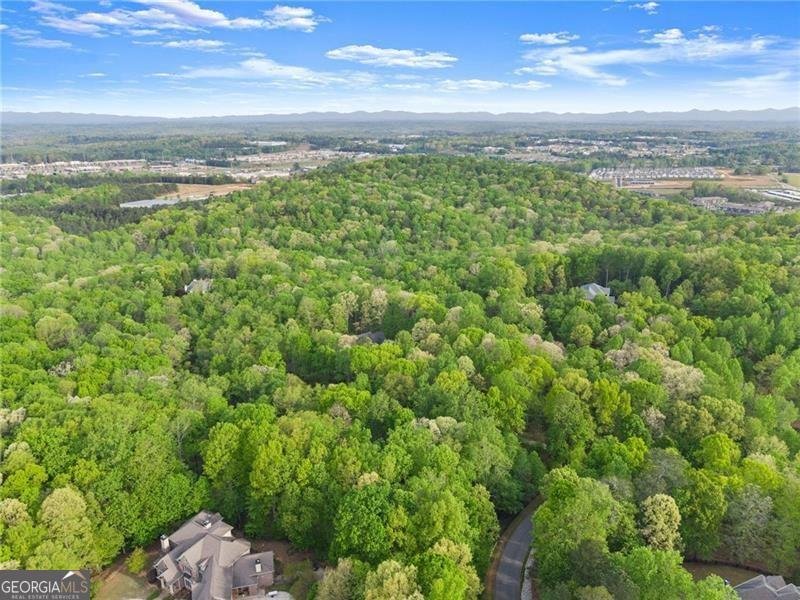 55 Summit Trail Lane Dawsonville - Photo 99