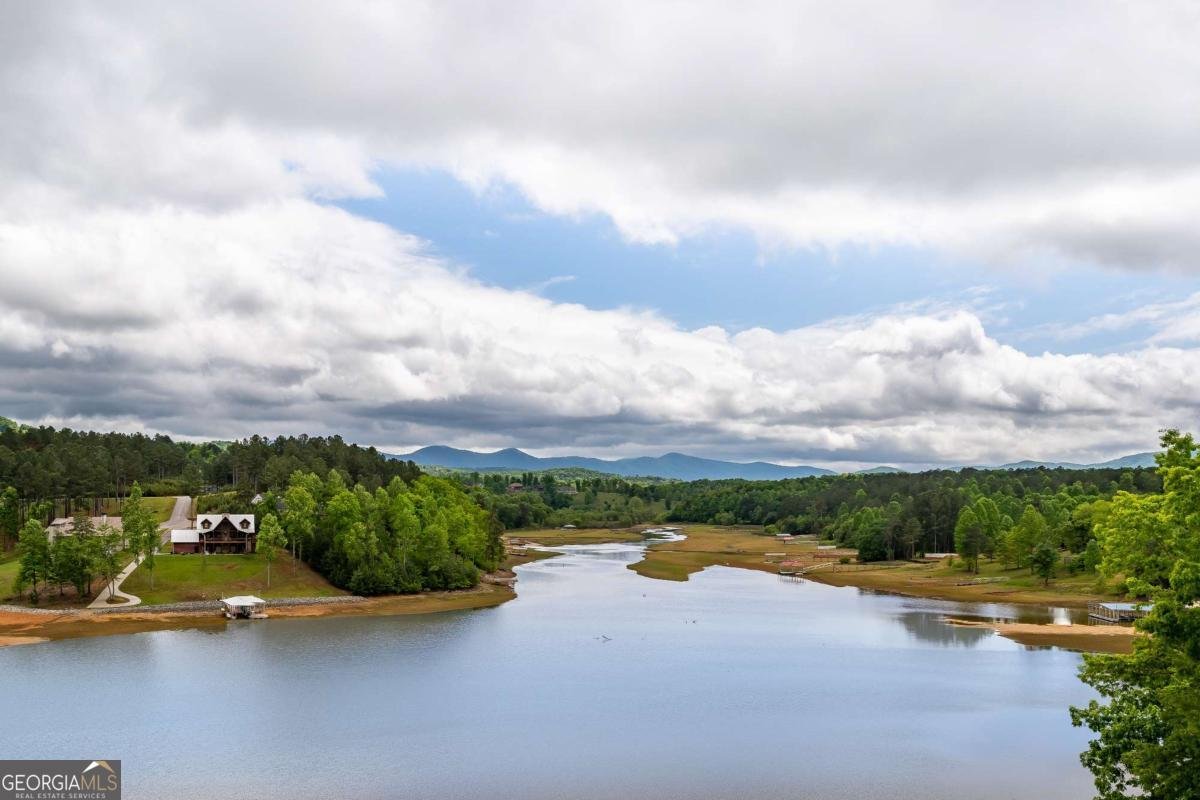 488 Big Knoll Drive Blairsville - Photo 30