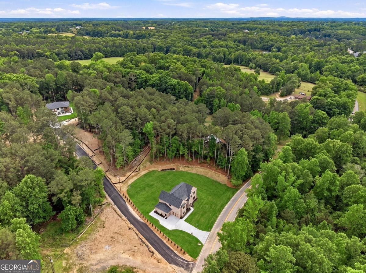 1557 Whitley Rd Dacula - Photo 43