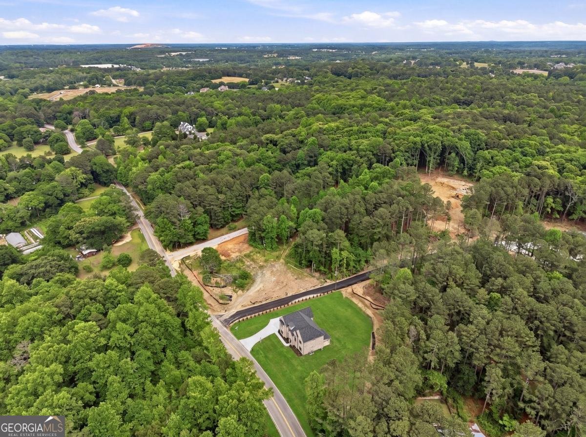1557 Whitley Rd Dacula - Photo 45