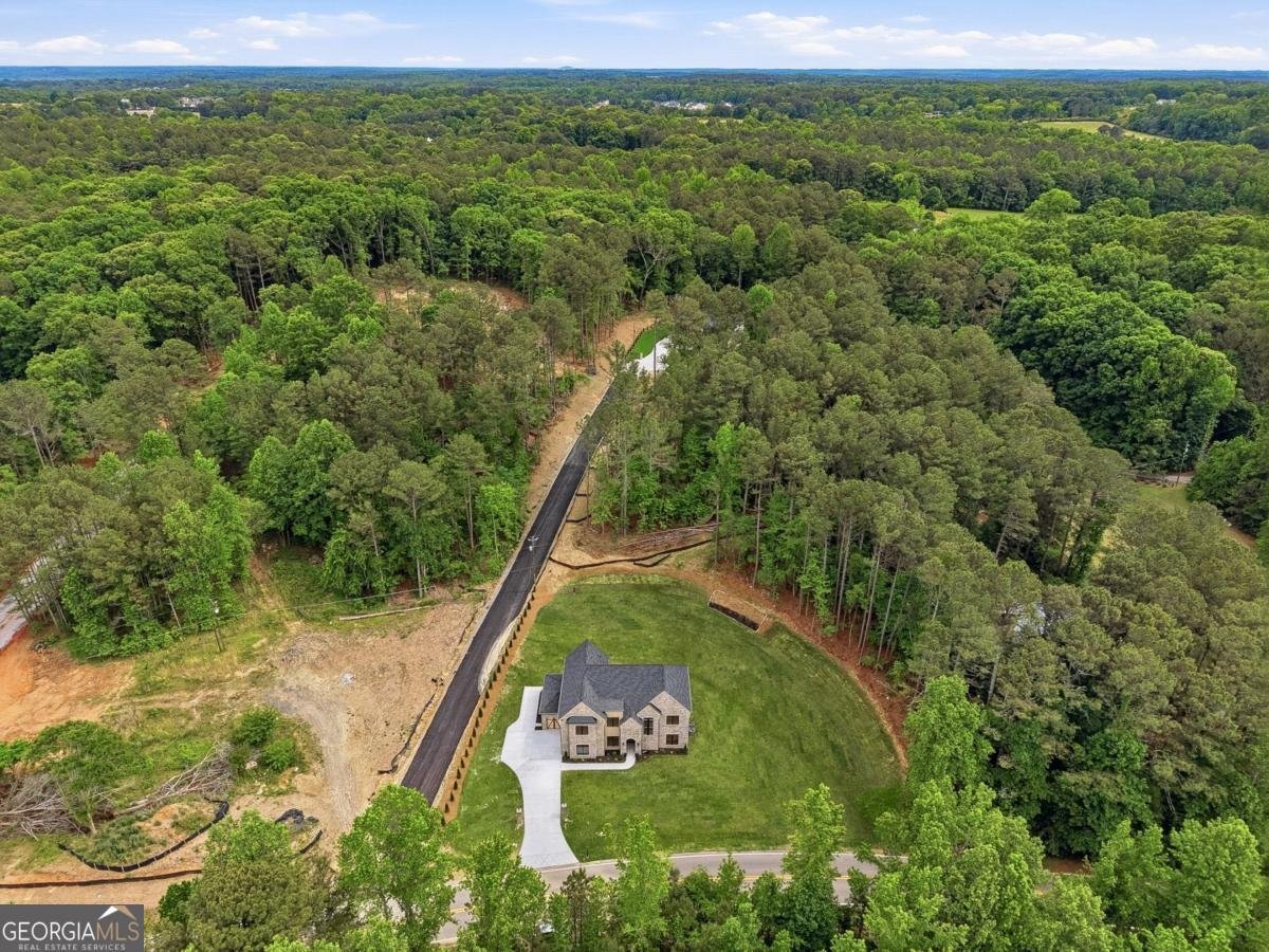 1557 Whitley Rd Dacula - Photo 46