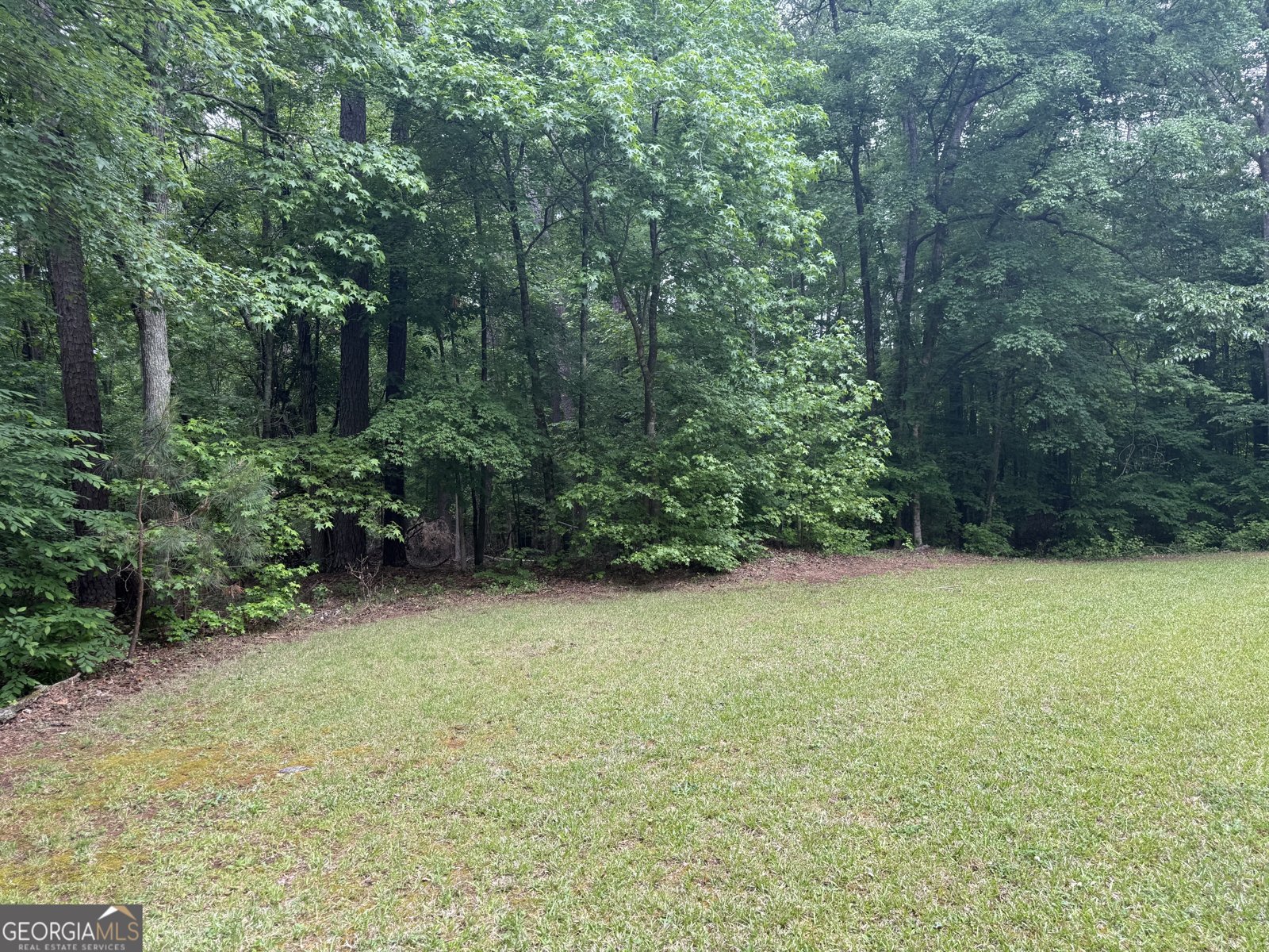 155 Thistle Lane Fayetteville - Photo 29
