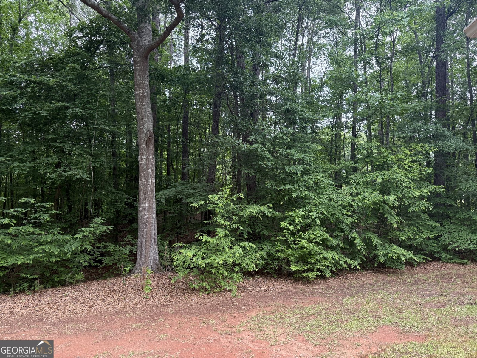 155 Thistle Lane Fayetteville - Photo 31