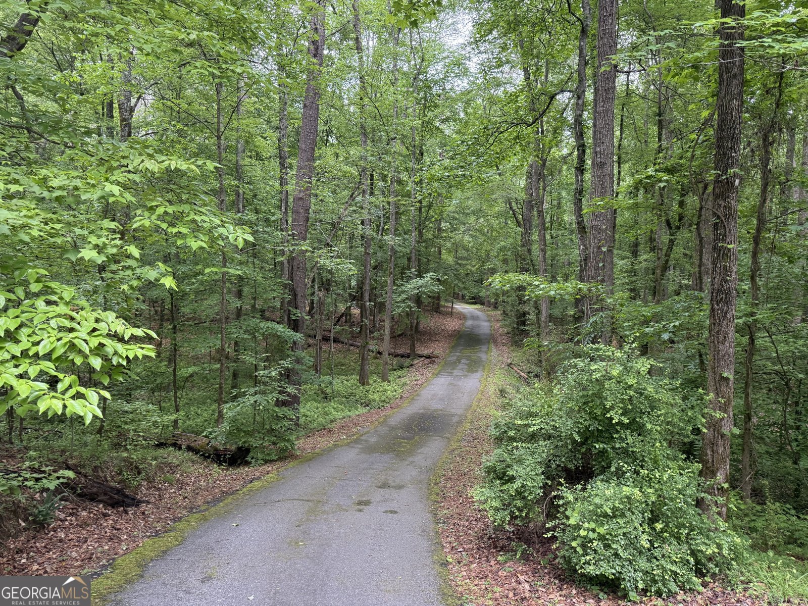 155 Thistle Lane Fayetteville - Photo 35