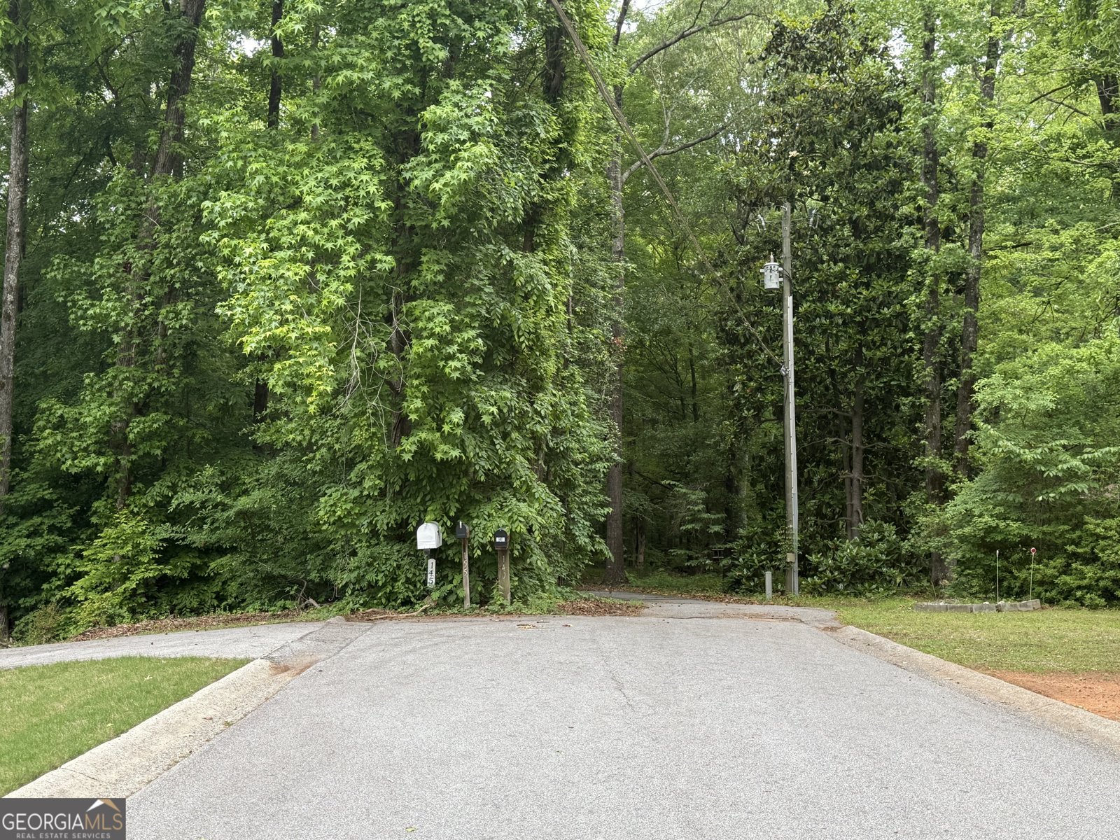 155 Thistle Lane Fayetteville - Photo 37