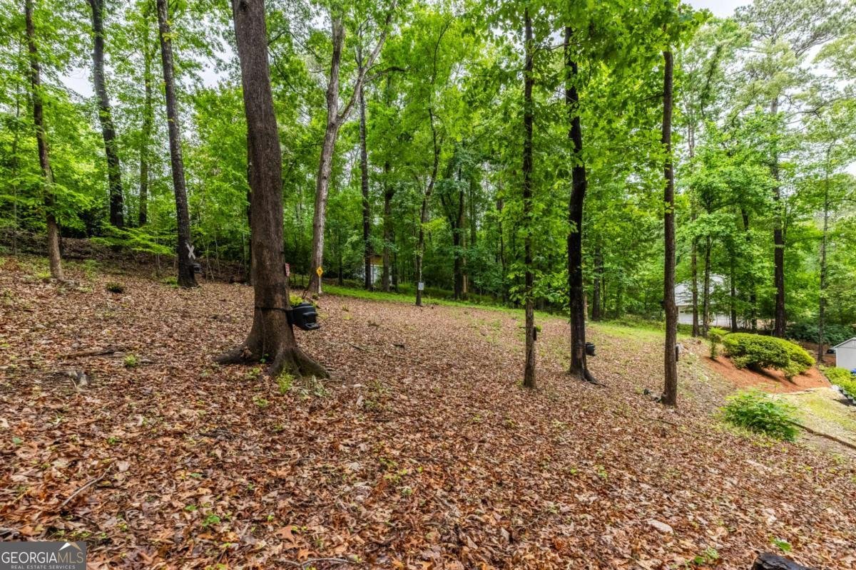10530 Shallowford Road Roswell - Photo 73