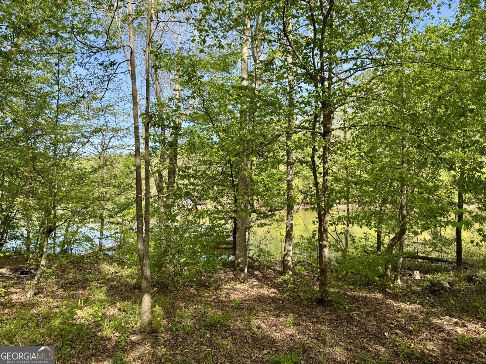 3719 County Road 88 Delta - Photo 34