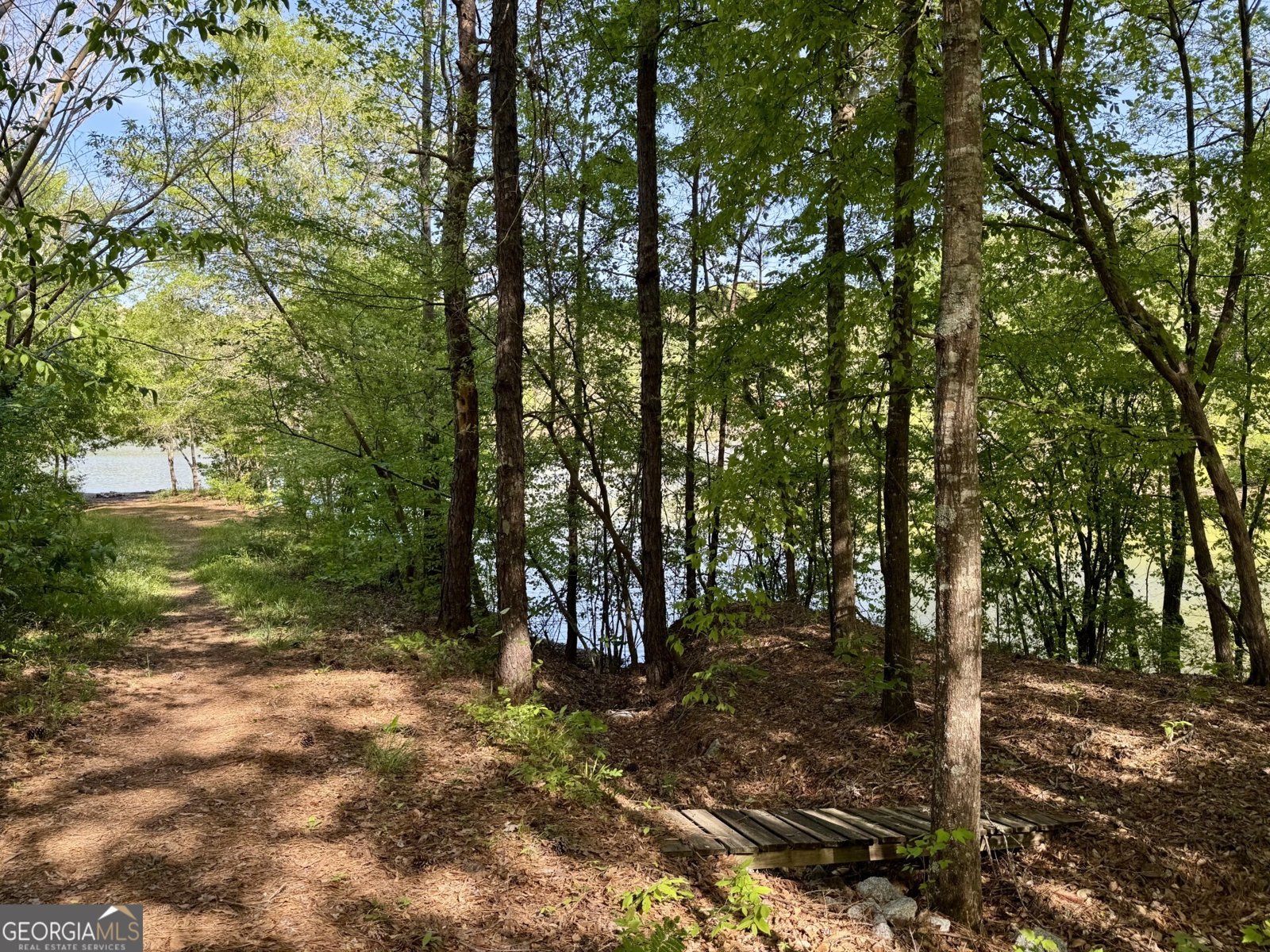 3719 County Road 88 Delta - Photo 35