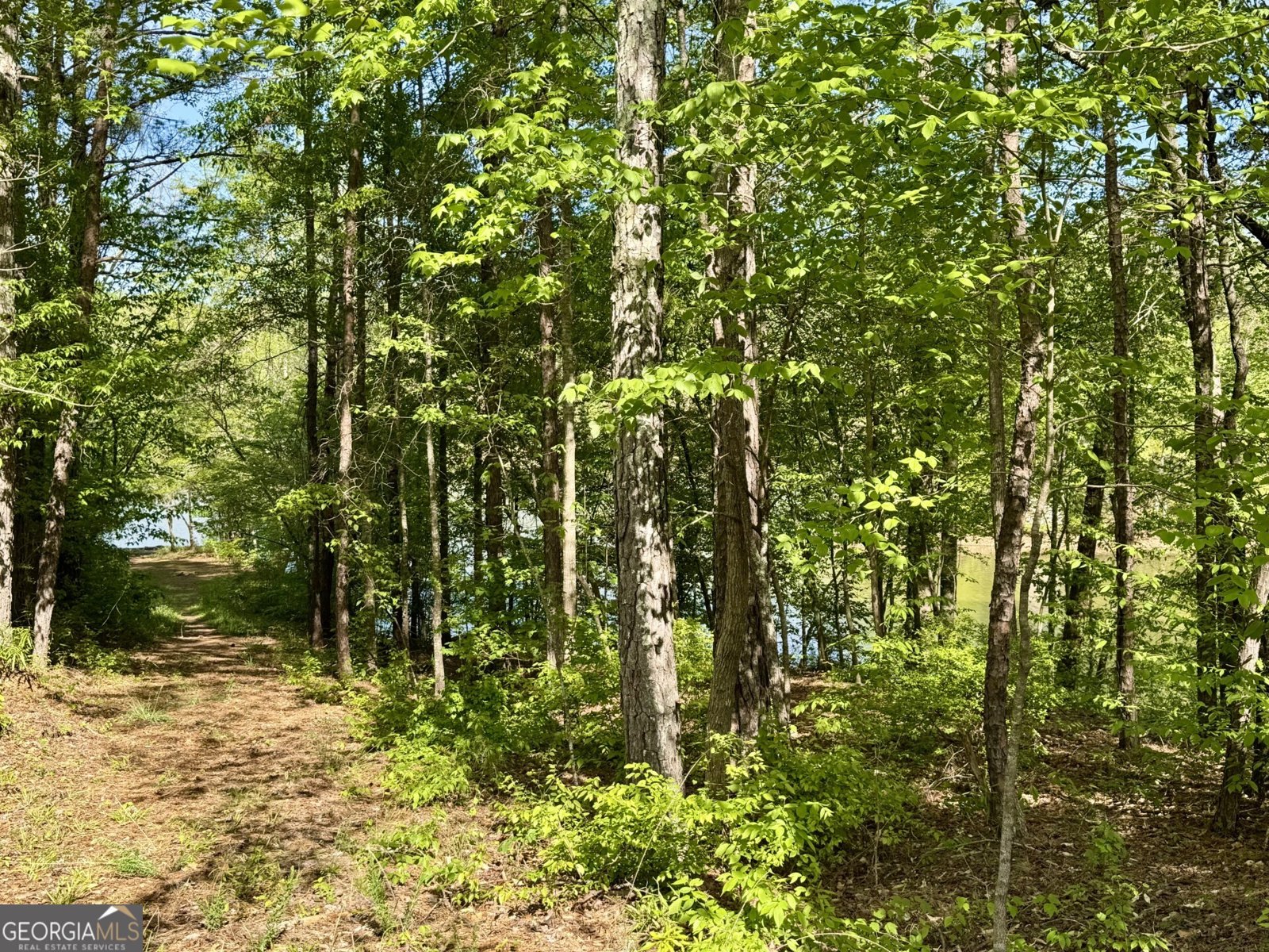 3719 County Road 88 Delta - Photo 37