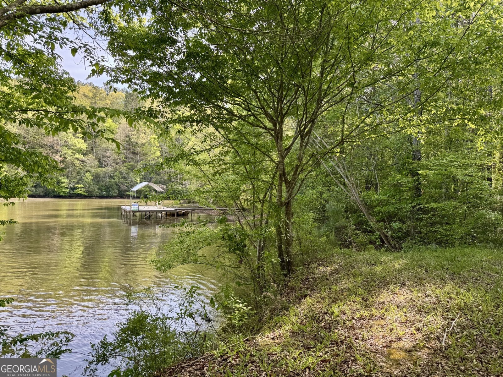 3719 County Road 88 Delta - Photo 7