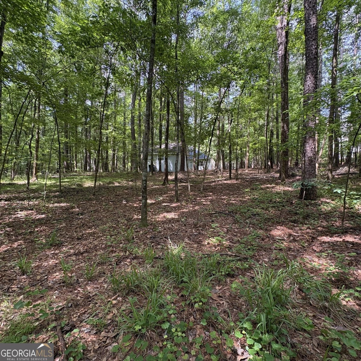 190 Rockington Drive Tyrone - Photo 18