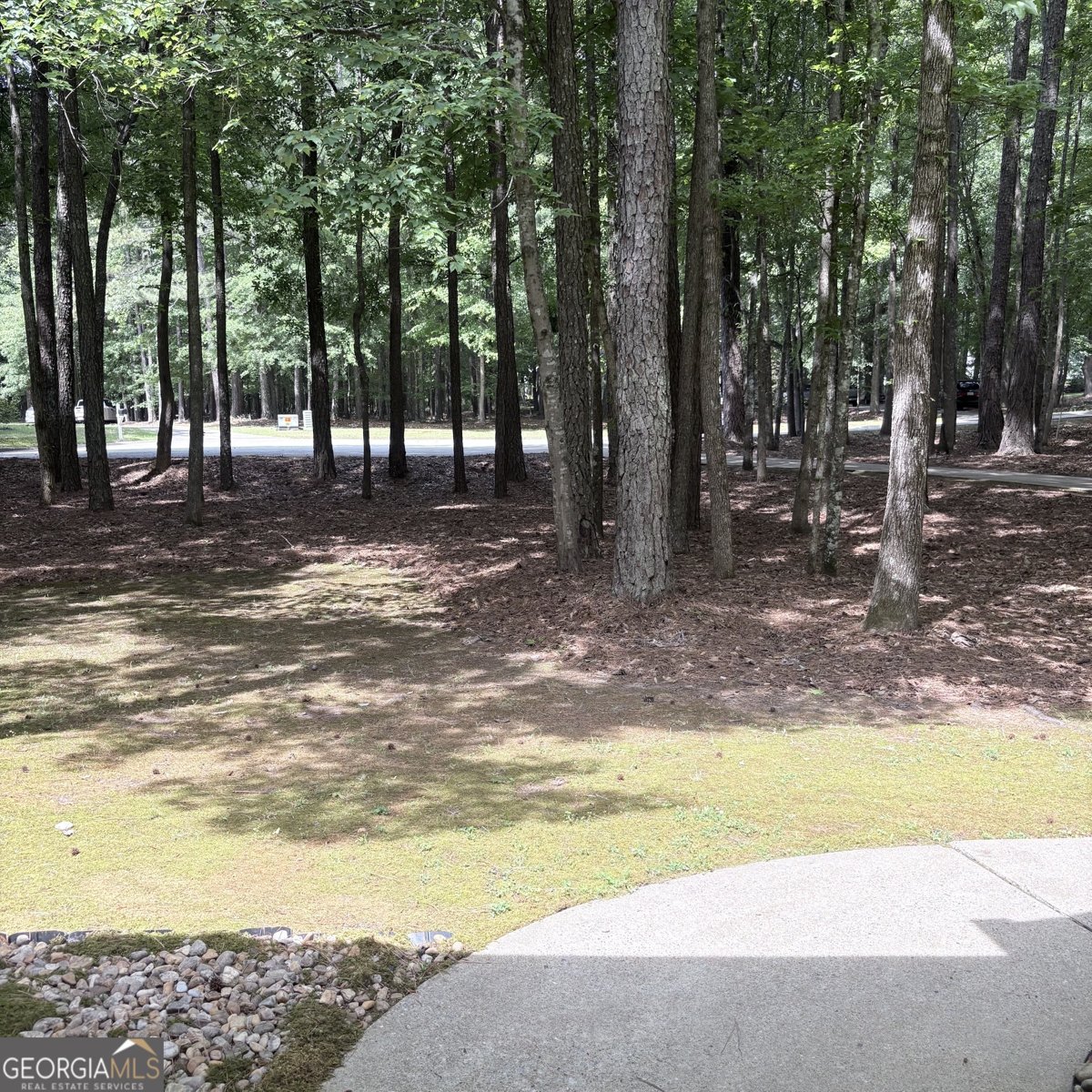 190 Rockington Drive Tyrone - Photo 6