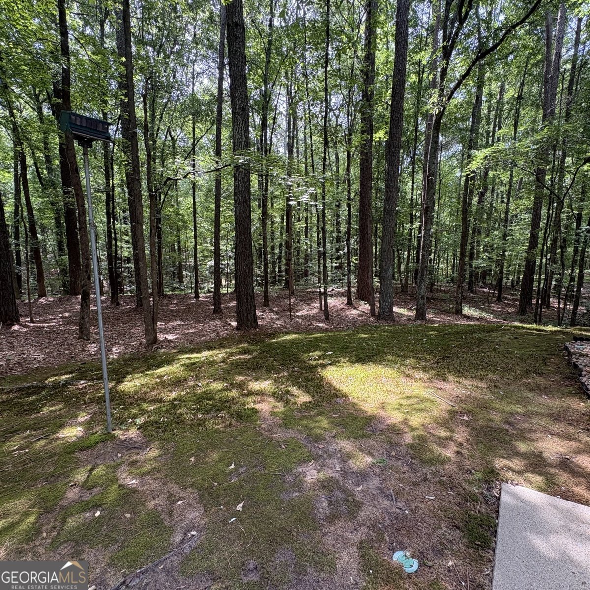 190 Rockington Drive Tyrone - Photo 9