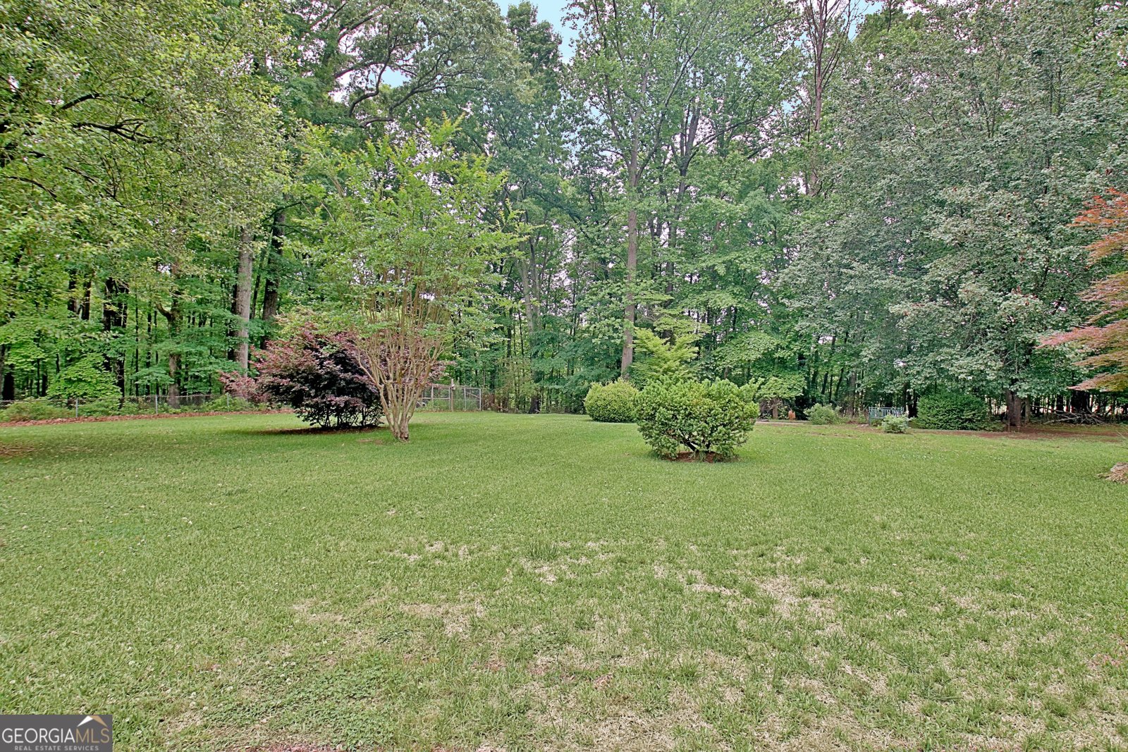 717 Tyrone Road Tyrone - Photo 58