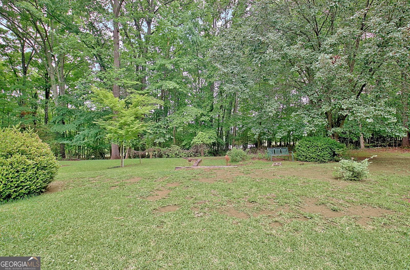 717 Tyrone Road Tyrone - Photo 59
