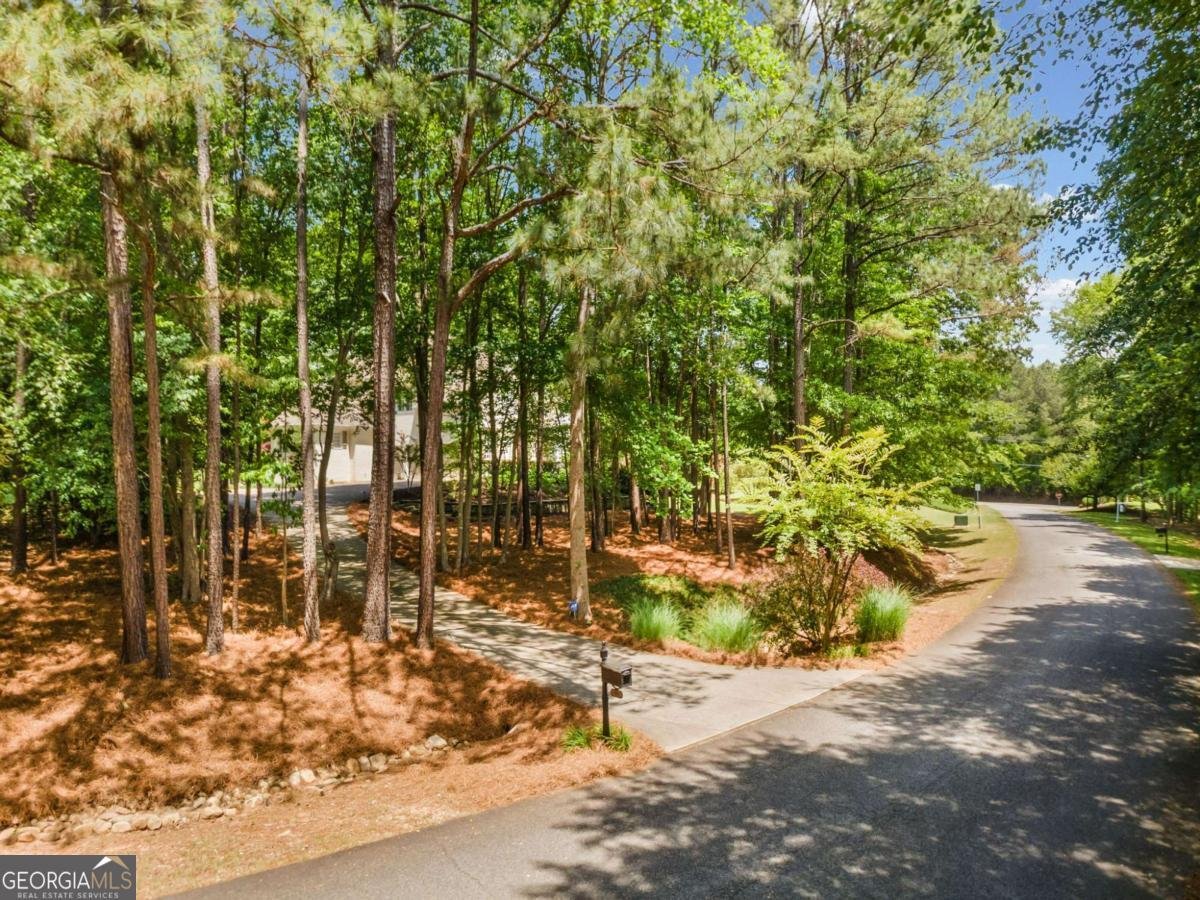 100 Smith Forest Lane Alpharetta - Photo 28