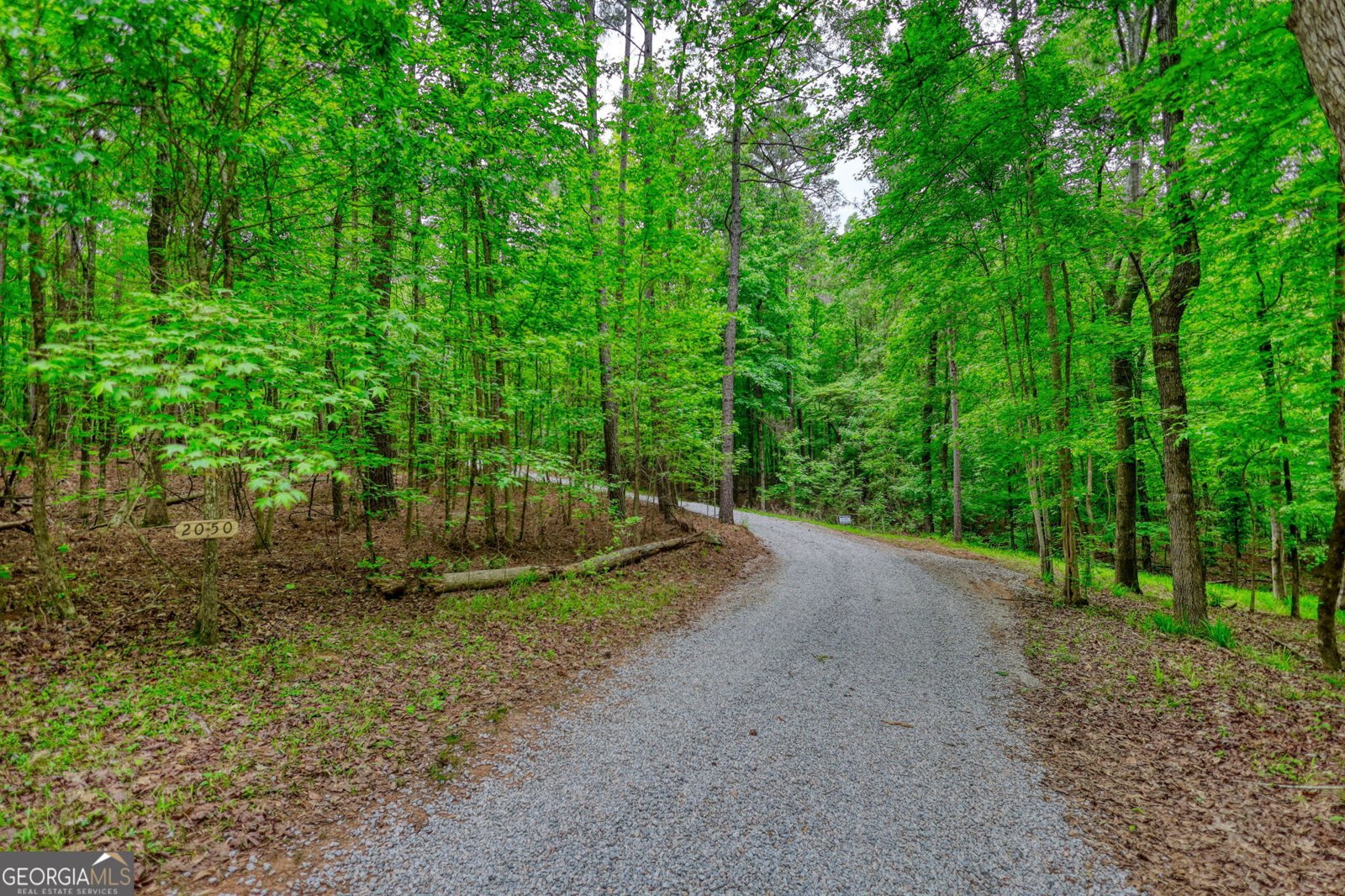 2050 Swords Trail Buckhead - Photo 40