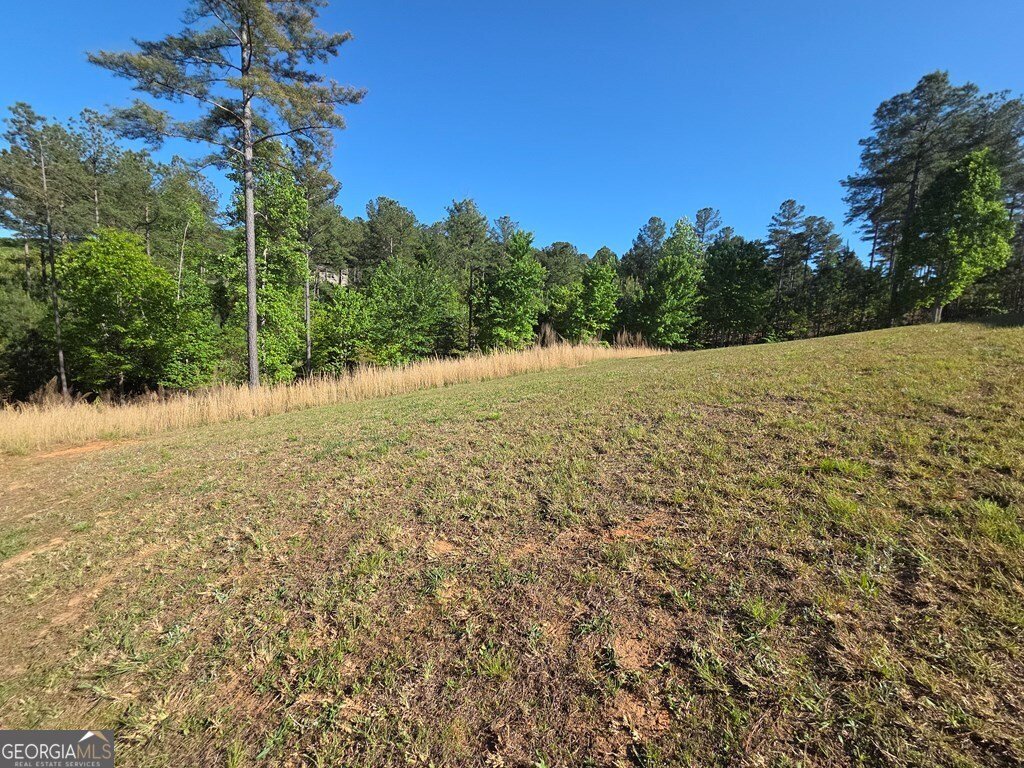 182 Loop Lane Blairsville - Photo 48