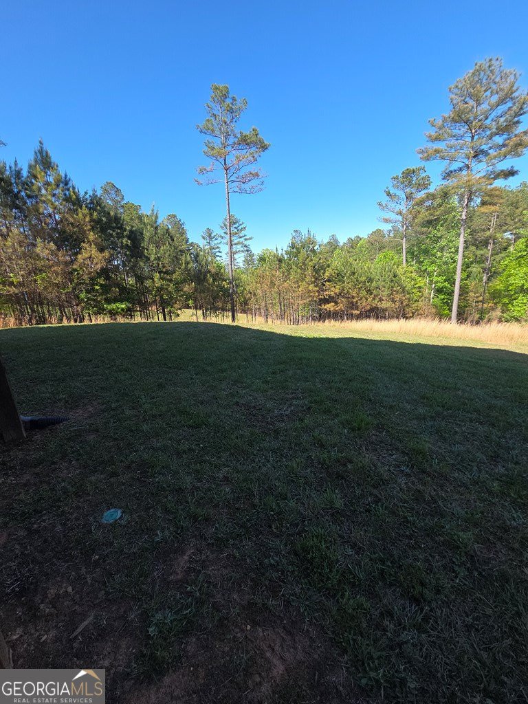 182 Loop Lane Blairsville - Photo 49