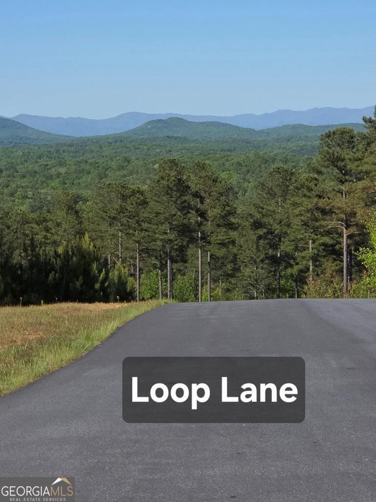 182 Loop Lane Blairsville - Photo 51