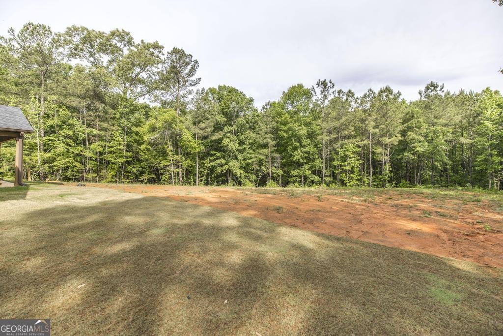 1204 Teagle Road Forsyth - Photo 37