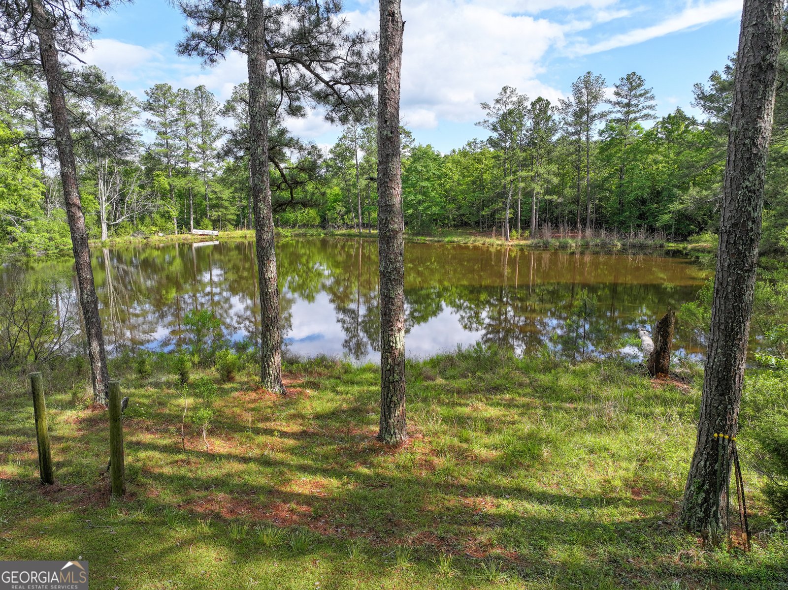 7517 Blacks Bluff  SW Road Cave Spring - Photo 10