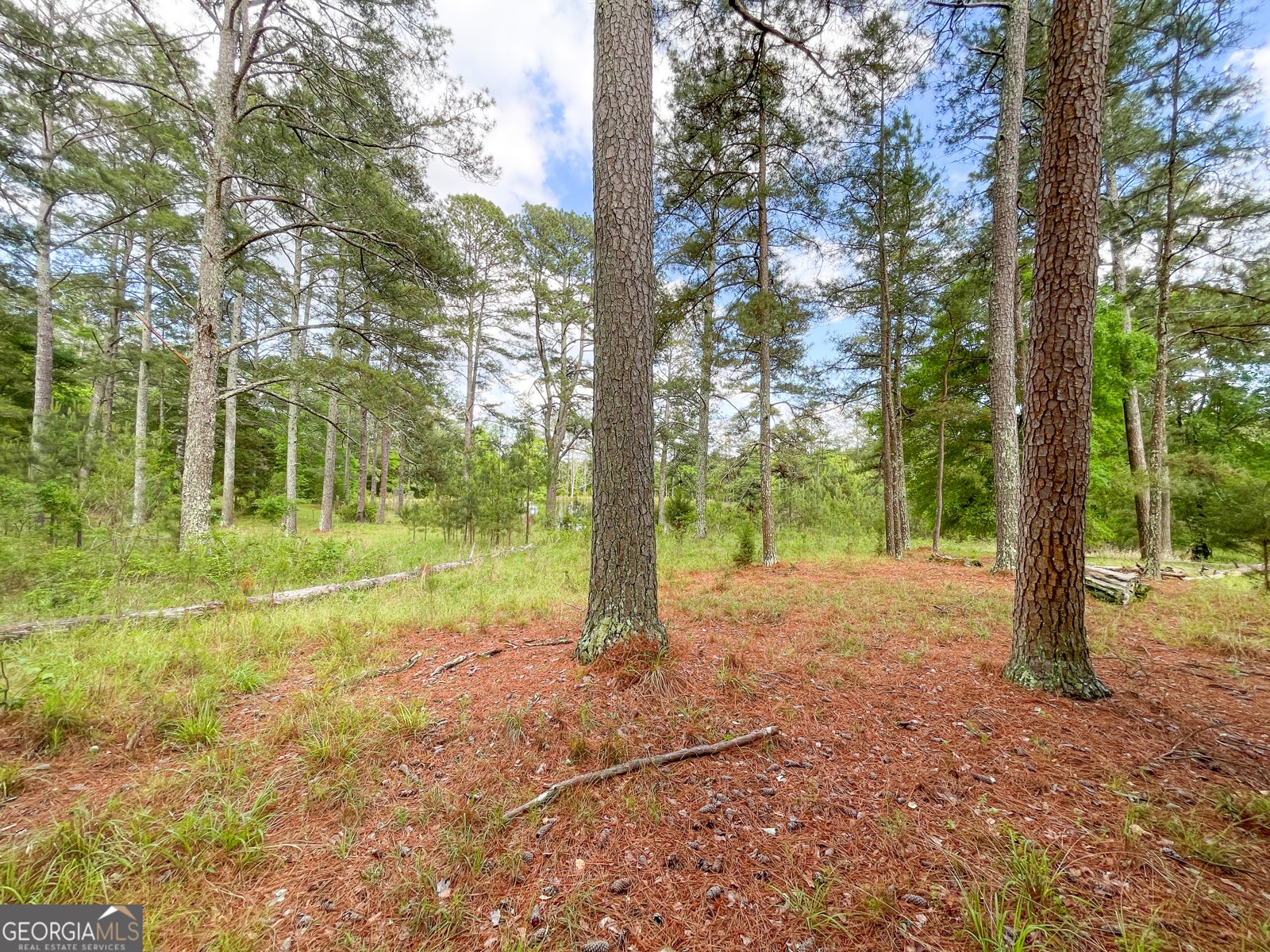 7517 Blacks Bluff  SW Road Cave Spring - Photo 47