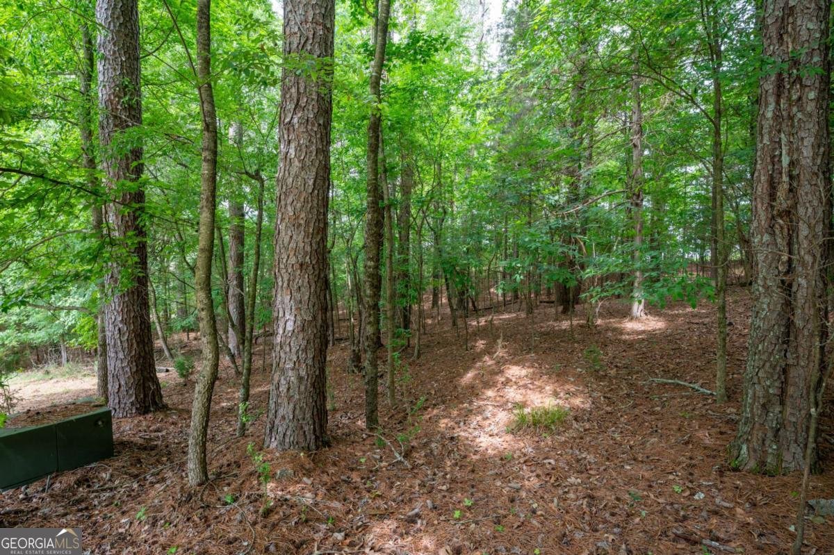 337 Fields Ferry Drive Calhoun - Photo 54