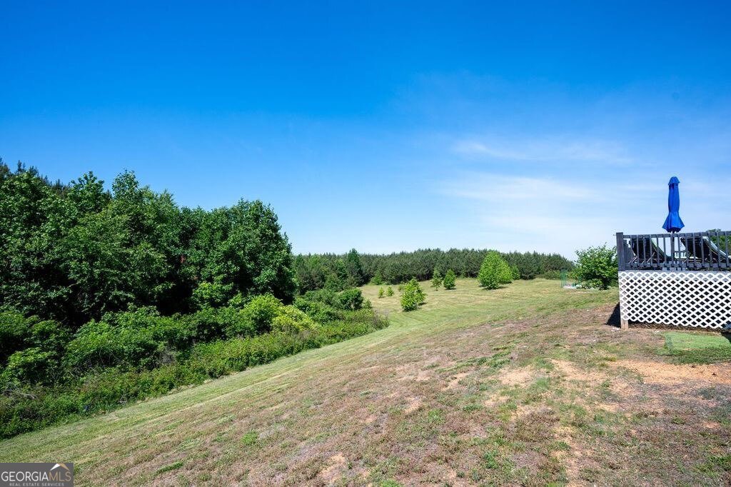 1239 Old Boone Ford Road Fairmount - Photo 10