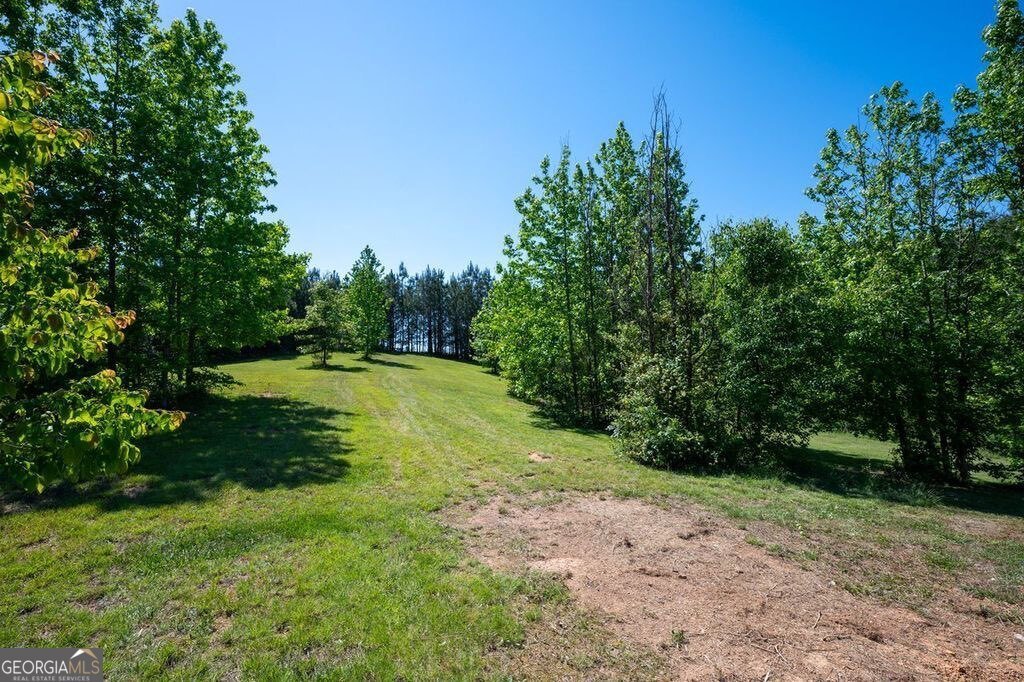 1239 Old Boone Ford Road Fairmount - Photo 9