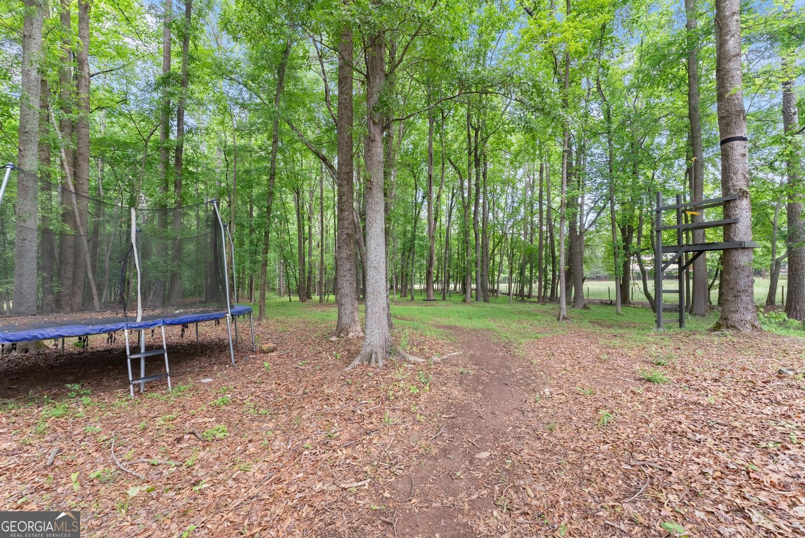 109 Marauder Way Athens - Photo 40