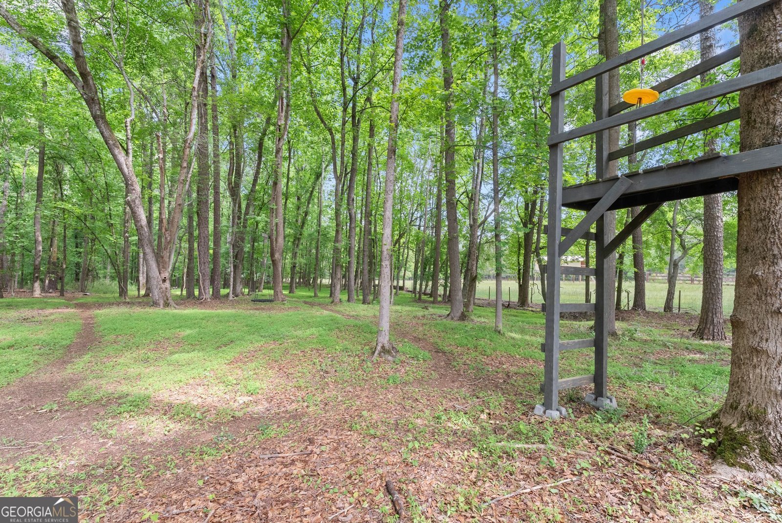 109 Marauder Way Athens - Photo 41