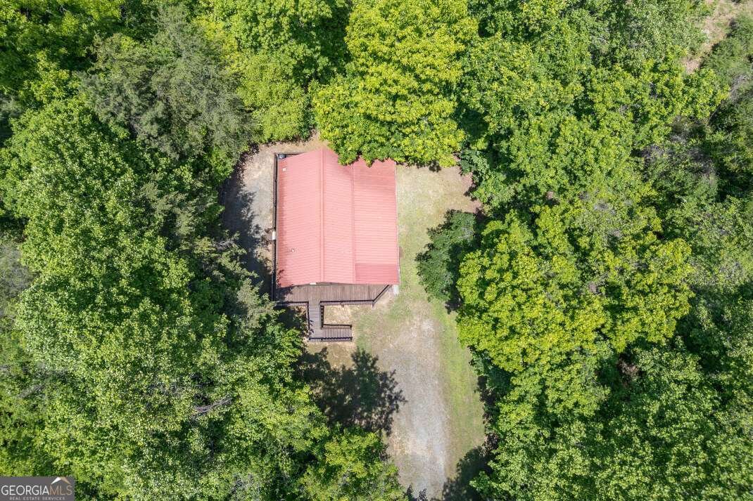 166 Lake Ridge Drive Blue Ridge - Photo 34